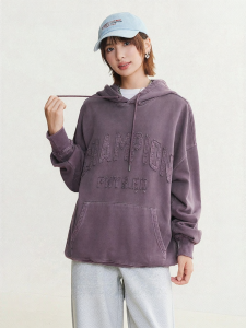 Champion | Hooded USA Style Casual Sweatshirt