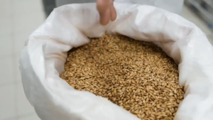 Ekohouse ยี่หร่า ขวดฝาบด 45 กรัม วัตถุดิบธรรมชาติ เกรดพรีเมี่ยม เมล็ดยี่หร่า ยี่หร่าป่น Cumin Seed