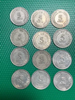 12 pcs Singapore 5 cents coins from 1969-1984 displayed on green surface. Silver coins with bird design.