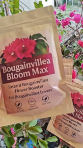 [Buy 1 Get 1 ]Bougainvillea Bloom Max stimulates flowering nourishes flowers reduces flower drop
