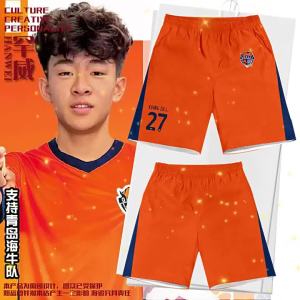 HanWei | Mens Quick-dry 5-Inch Length Football Fan Shorts