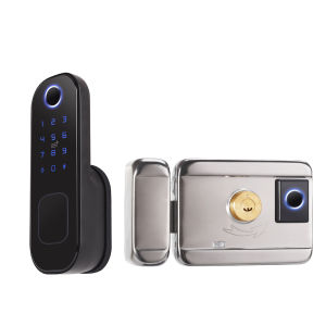 Electronic Door Lock DOUBLE SIDED Garden Outdoor Gate Lock Tuya app Wifi Passcode RFID Card Keyless Front Fingerprint Lock