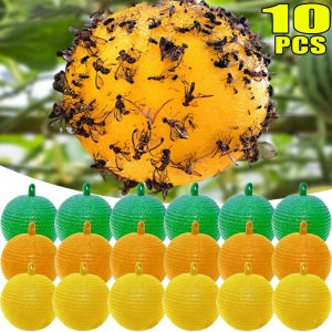 10Pcs Fruit Fly Traps Sticky Fruit Fly Traps Ball Multifunction Hanging Flying Insects Traps Ball for Hornets Catching Garden Supplies