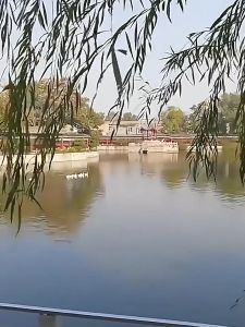 Teropong Bintang Astronomi Monocular Telescope Kaliber Besar Untuk Pemula 360/50mm 18/27/60/90X Zoom