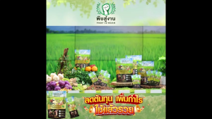 (ของแท้ 100%) พืชสู้งาน สารเสริมประสิทธิภาพพืช สำหรับพืชและดิน ชนิดผง สูตรเข้มข้นมาก ปลอดสารเคมี ขนาด 10 ซอง จำนวน 3 แพค