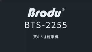 BTS-2255 4500mAh 6.5x2 Inch Wireless Portable Outdoor Dj Party BT Bluetooth Speakers with 2 wireless mic