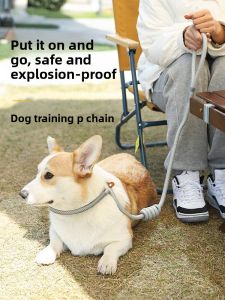 HOOPET | Dây Dắt Chó Chống Sốc Không Chạy Trốn cho Chó Lớn Vừa và Nhỏ