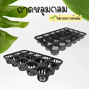 ถาดหลุมใส่กระถาง ถาดใส่กระถางต้นไม้ ถาดกล้วยไม้ ถาดหลุมกลม 2.5 นิ้ว 3 นิ้ว และ 4 นิ้ว สีดำ