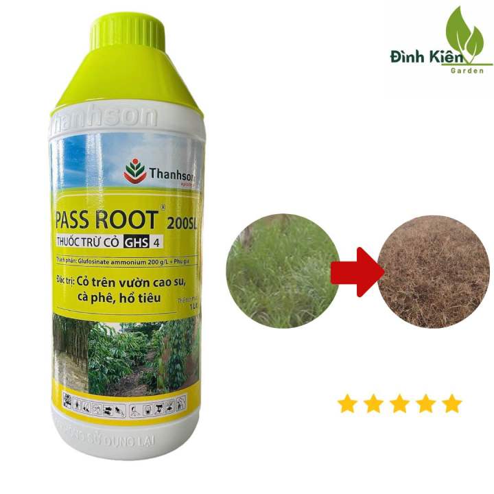 Thuốc trừ cỏ PASS ROOT 200SL - Đặc trị cỏ trên vườn cao sau, cà phê, hồ ...