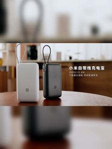CCC Certification Xiaomi Power Bank 20000mAh  Integrated Cable 33W Max Power  Type C