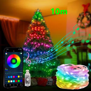 Smart LED String Fairy Lights App Control USB Music Sync RGB IC Lights for Room Party Wedding Christmas Tree Holiday Decorations