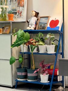 OYIla | Colorful Durable Plant Placement Floor Stand