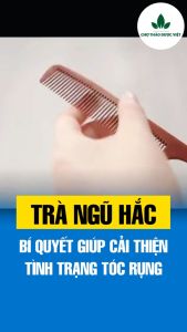 Trà Ngũ Hắc An Phương(1 hộp 30 gói) Giúp Tóc Chắc Khỏe Giảm Gãy Rụng Tóc T06