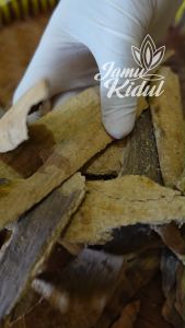 Kulit Kayu Pule Kering 500gr Asli Hutan - Lebih Berkhasiat