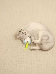 Smart Cat Toy Automatic Moving Car Kitten Electric Interactive Playing Toy Remote Control USB Charging