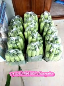 นุชฟอร์ไลฟ์ นุช1+นุช9+จับใบนุช เล็ก อาหารเสริมพืชทางใบ