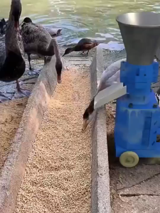 CHUANGCHAO Feed pellet machine 220v small dry and wet straw crushing granulator pelletizer machine feeds Breed