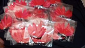 Bando Bulu Adat: Aksesoris Pesta dan Mahkota Nusantara