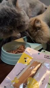 ปลาทูน่าแท่ง ขนาด 30 กรัม [ 12 ซอง ]