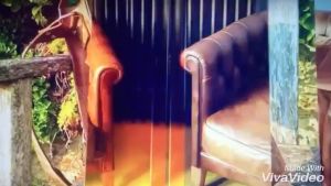 Shinywax All Purpose Wax for Homecare: All-Purpose Wax for Homecare, Haircare, Grooming, and Beauty - 250ml