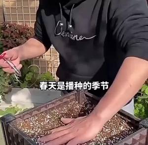 Mini Seeder Manual Seeder Small Seeder Adjustable Multi-functional Gardening Seed Planter Handheld Flower and Plant Sowing Tool