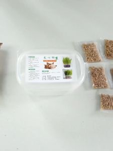 Hạt Giống Cỏ Mèo + Hộp Trồng