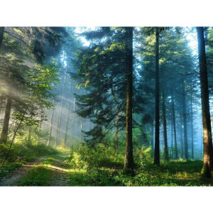 Jigsaw Puzzle for Adults 500/1000/1200/2000PCS Forest Scenery DIY Craft Home Wall Decoration Gift Idea