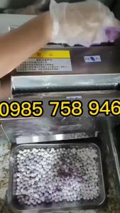 ST106 Máy vo viên tròn cứng làm trân châu bánh nhãn các loại