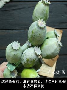 Artificial Poppy Fruit Decorative Home Living Room Hotel Sample Room Photography Props Display Window Ornamental Plants