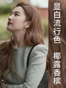 Natural Plant-Based Champagne Color Hair Dye for Women Long-Lasting Glossy Shade Grey Covering Hair Care Easy to Use