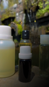 Minyak Daun Sirih 100% Murni - Betel Leaf Oil Essential Antiseptik Alami untuk Perawatan Kulit & Kesehatan