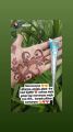 Henna Aisyah Store - Henna Maroon 1 box 12pcs. 