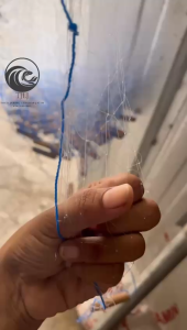 Jaring ikan siap pakai lubang 1.5in panjang 25M tinggi 90cm