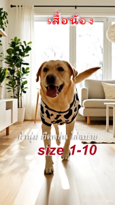 🔥 เสื้อผ้าสัตว์เลี้ยง ลายวัวเลย์ เสื้อโรนัลโด้ เสื้อหมา เสื้อแมว แกสบี้ กระต่าย ราคาที่สะดวก เสื้อสุนัข เสื้อลายมงคล