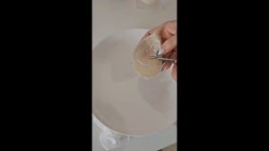 Golden Birdnest 100g