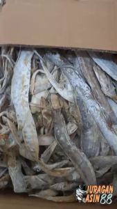 ikan layur asin murah kemasan 500gr