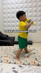 MAINAN ANAK BABY SUARA MIKROFON MENYANYI KARAOKE MUSIK DAN LAMPU