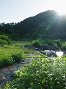 Áo khoác cặp đôi phong cách núi 3 trong 1 có thể tháo rời lót lông cừu dày ấm áp chống gió áo khoác đi bộ ngoài trời