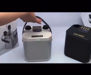 Loa Bluetooth Karaoke Koleer S882 Chỉnh Echo Riêng Biệt Kèm 2 Micro Không Dây Bảo hành 12 tháng