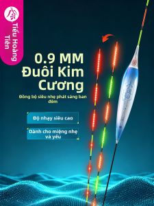 XIAOFENGXIAN | Phao Cảm Biến Cao cho Đánh Cá Hố Đen Ngày và Đêm