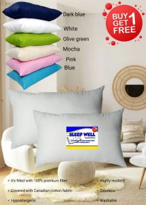 Buy1Take1 HOTEL QUALITY Washable Pillows (Sleepwell)