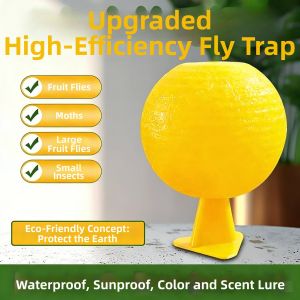 TAOKOU | Non-Toxic Insect Catcher