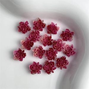 20 Chiếc Phụ Kiện Trang Trí Móng Tay Bằng Nhựa Resin Dễ Thương Thiết Kế Hoa Hồng Đỏ & Hoa Trà Phối Hợp Hoạt Hình 3D Đá Trang Trí Móng Tay Phụ Kiện Làm Móng