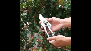 SK-5 gardening import dedicated pruning shears pruning scissor pruning shears pruning shears pruning