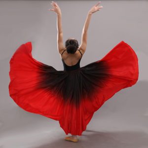 Womens Practice Skirt Ethnic Uygur Dance Costume Half-length Performance Gown Long Skirt for Young Adults Online Exclusive