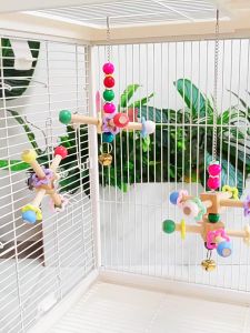 ของเล่นชูการ์ ของเล่นนกแก้ว หลากหลายแบบ เหมาะกับกรงทุกแบบ ติดตะแกรงของกรงได้เลย