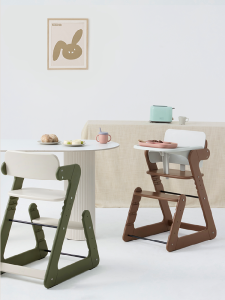 Growing & Learning Baby Chair