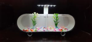 Aquarium Mini Full Set Plus Skat / Aquarium Akrilik / Aquarium Ikan Cupang / Aquarium Ikan Hias