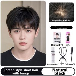 WEIWEI | Realistic Breathable Mens Short Straight Human Hair Wig