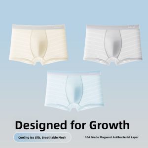 MiiOW | Ice Silk Mesh Childrens Underwear Thin Antibacterial Boys Boxer Shorts Breathable Quick Dry Comfortable Nylon Spandex Briefs